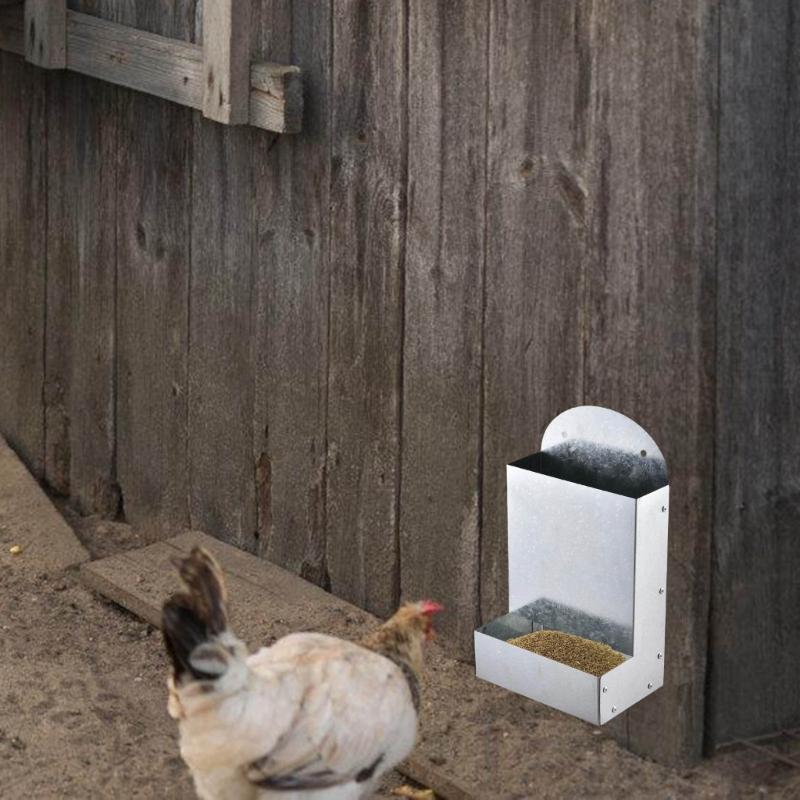 Chicken Feeder Mineral Crushed Food Container Promotes Healthy Digestion And Eggs Formation Easy Installation Feeders