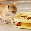 Interactive Cat Puzzle Toy Maze Game Kitten Turntable Track Roller Balls Toys With Feather Pets Self Entertainment Training Toy