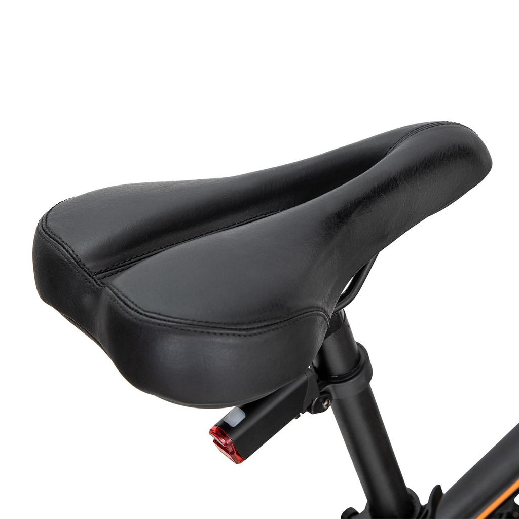 E-Bike Erwachsene FAFREES 250W Motor City Elektrofahrrad Höchstgeschwindigkeit 25Km/h 36V 13AH Reichweite 100Km 21 Gänge Zuladung 150Kg HaiLong