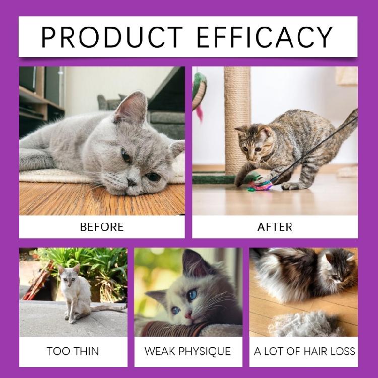 Katzen Multivitamine Flüssig Katzen Leckerlis für Gesundheit Haustier Ernährung Ergänzungen zur Verbesserung der Ernährung