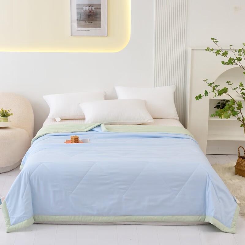 

Morica Cloud Soft All-Season Quilt