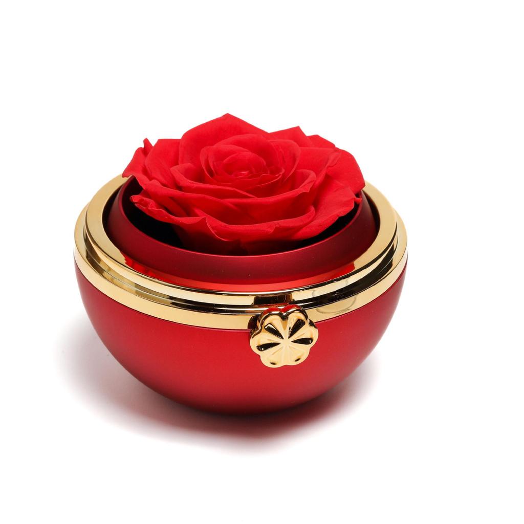 Rotating Rose Gift Box with Necklace and Ring - Valentine's Day Eternal Flower Jewelry Box