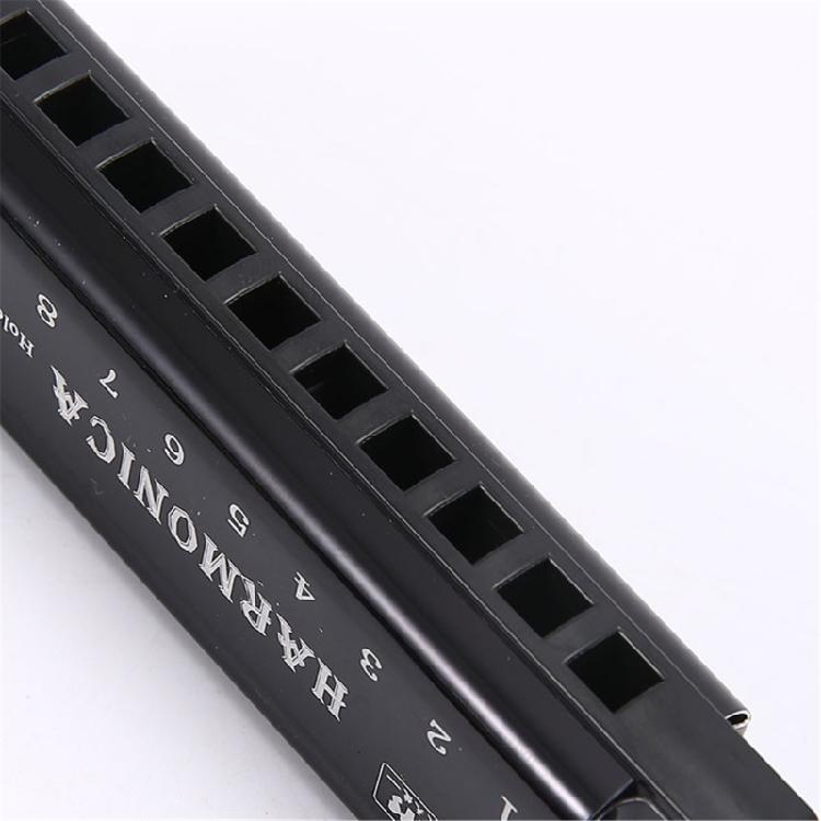Premium 10 Hole Harmonica with Metal and ABS Resin Comb Ensures Bright and Crisp Notes Travel Musical Instrument