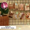 2/5/10M Photo Clip LED String Light Warm White for Room Party 3AA Battery Operated Fairy Strip Light Wedding Birthday Party Lamp