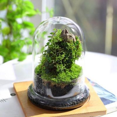 Fresh-keeping Micro Landscape Bottle Dust-proof Transparent Glass Cover  Bedroom