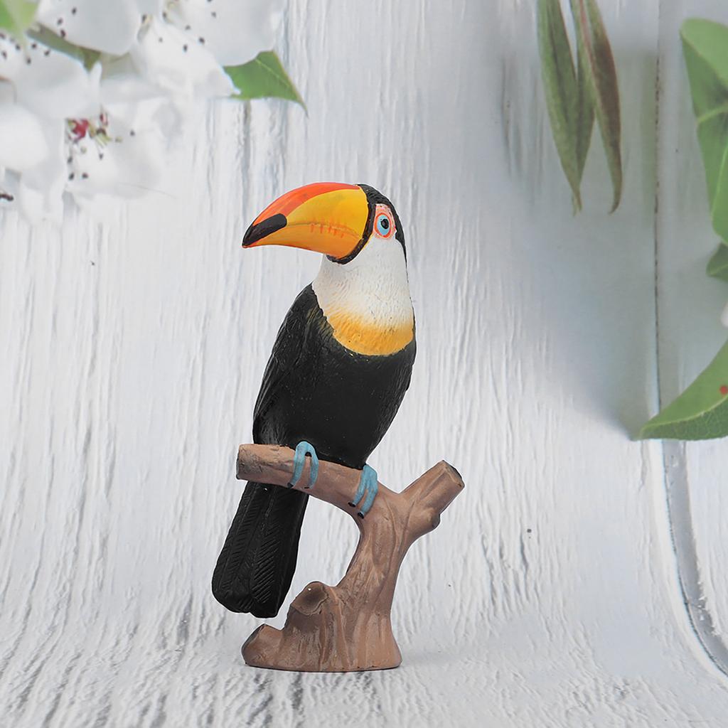 Lebensechtes Kinder Wildtier Tukan Modell Kunststoff Simulierte Spielzeug