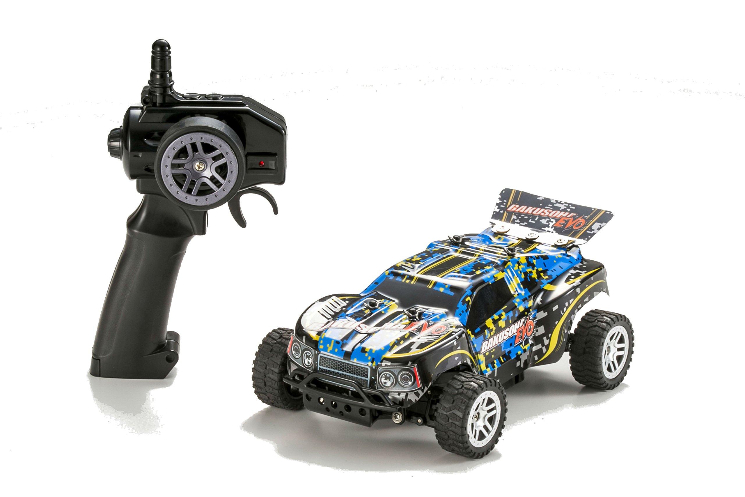 

Radio Control Baksoha EVO Brick Gale