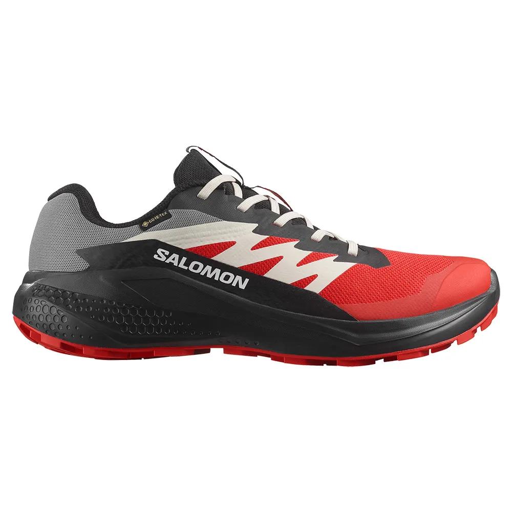 Salomon Кроссовки для трейлраннинга Alphaglide Goretex EU 46