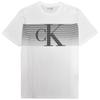 Calvin Klein Striped Size XL Men's Short-Sleeve T-Shirt, Logo, White, [Used]
