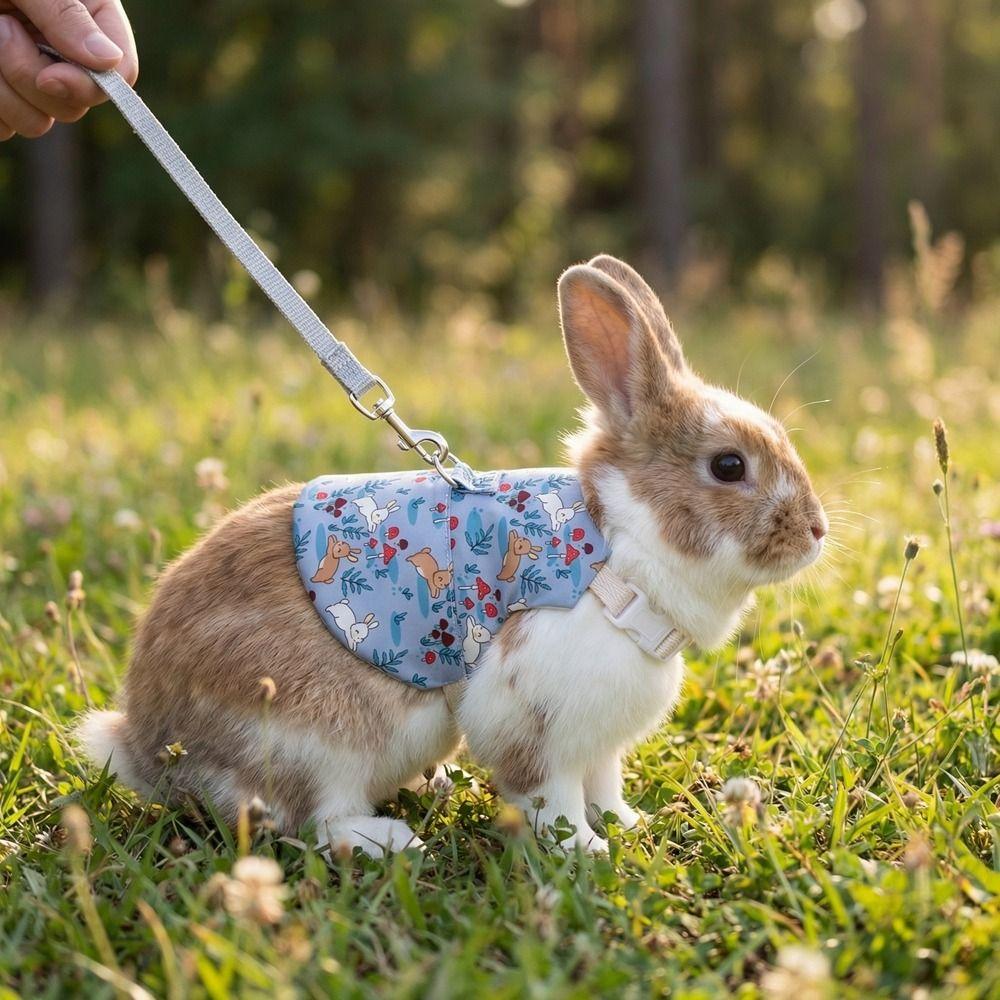 Adjustable Guinea Pigs Vest Flower Pattern Walking Harness Pet Harness and Leash  Outdoor Use