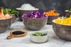 Staub Plate Set Ceramic Pottery Microwave Safe Japanese Ceramic Plate "Mini Campagne" [Authorized Product] 40508-801