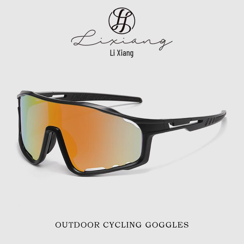 Photochromic UV Protection Windproof Cycling & Mountain Climbing Sunglasses Bright Black - Total Gray Lens