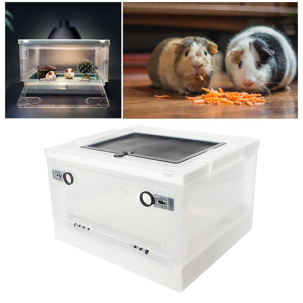 Foldable Reptile Feeding Box Hamster Breeding Pet Terrarium Tank Transport House for Small