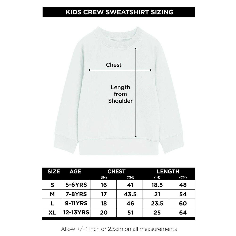 Iron Man Childrens/Kids 5th Birthday Sweatshirt