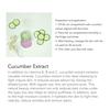Ice Face Roller Cold Ice Mold Holder Silicone Reusable for Face Beauty DIY Facial Care Purple Cat Claw with Comb