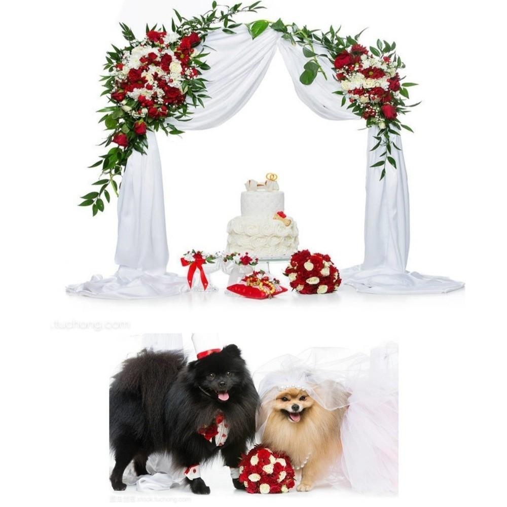 Voal Panglică Pisică Neagră Costum Mireasă Cățel Alb Accesorii Păr Câine Produse Animale de Companie