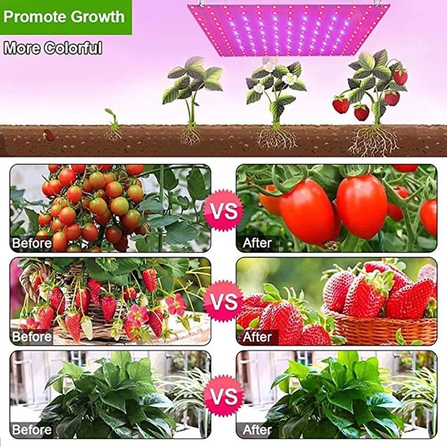 Led Grow Light Full Spectrum Lamp 1000W 1500W Led Plant Light Bulb Greenhouses Indoor Phyto Lamp Grow Lighting US EU UK Plug