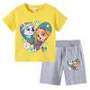 PAW Patrol Summer Cartoon Printed Boys Girls Tshirt Sets Children's Casual Shorts 2 Piece Sets Kids Tracksuits Sport Suits