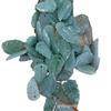 A-Grade Myanmar Jade Green & Blue Water Leaf Beads for DIY Jewelry & Bracelets