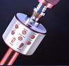 Wireless Bluetooth Home KTV Singing Microphone and Speaker - Model 858
