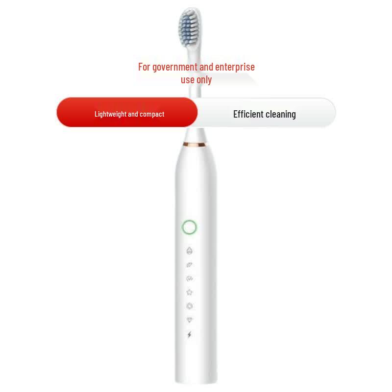 Liven Electric Toothbrush