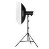 Godox DP400III-V 400W Studio Flash Kit