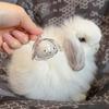 Clear Rabbit Hair Memorial Keepsake Capsule Pet's Fur Container Cute Portable Pet Hair Storage Box Pet Lovers Home Display Gifts