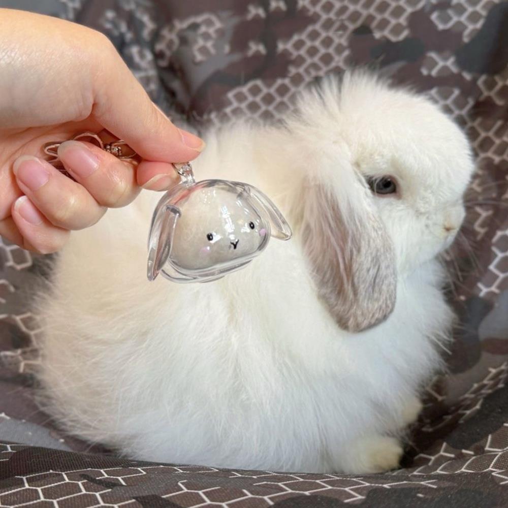 Clear Rabbit Hair Memorial Keepsake Capsule Pet's Fur Container Cute Portable Pet Hair Storage Box Pet Lovers Home Display Gifts