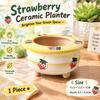 Korean Style Hand-Painted Strawberry Ceramic Flower Pot
