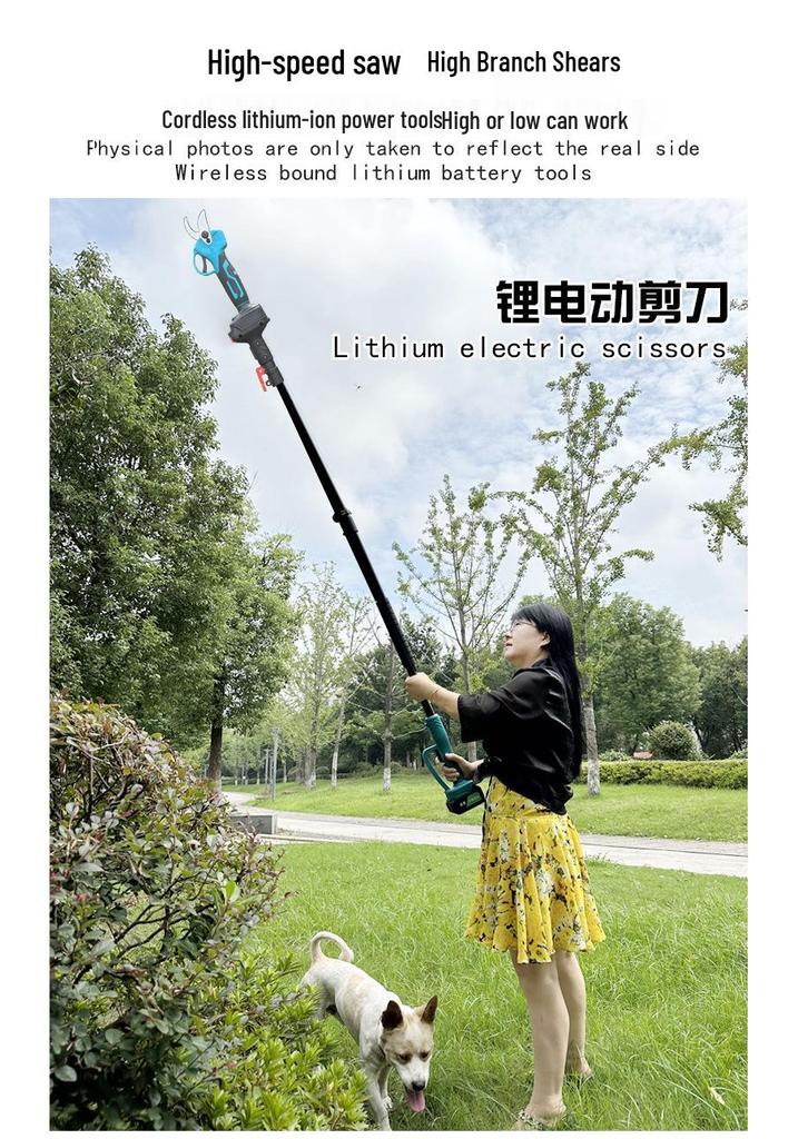 Divine Tool Telescopic Electric Pruning Saw with Lithium Battery for High Branches and Fruit Trees.