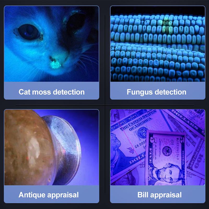 365nm Mini Portable UV LED Flashlight USB Rechargeable For Pet Stains Fungus Bed Bug Moldy Food Ultraviolet Detector Lamp