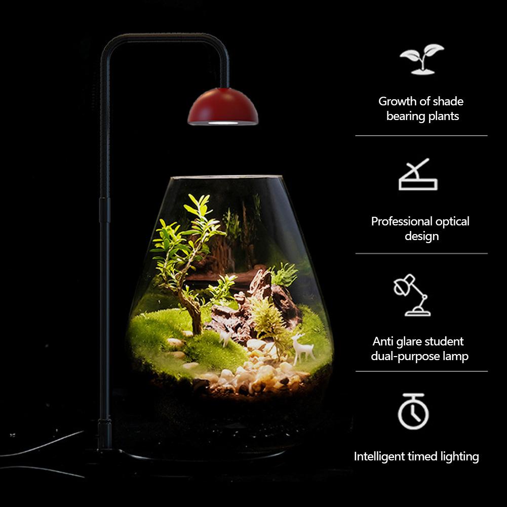 Micro Landscape Plant Growth Lamp with Timmer Full Spectrum Plant Lamp Height Adjustable for Desktop Glass Plant Terrarium