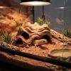 Plastic Fish Shrimp Hiding Cave Multi-Hole Reptile Hideout Fish Tank Ornament  Terrarium