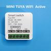 Tuya WiFi Smart Switch: 12V/24V Constant Voltage with WiFi and 433 Remote Control for Door Lock or Light Modification