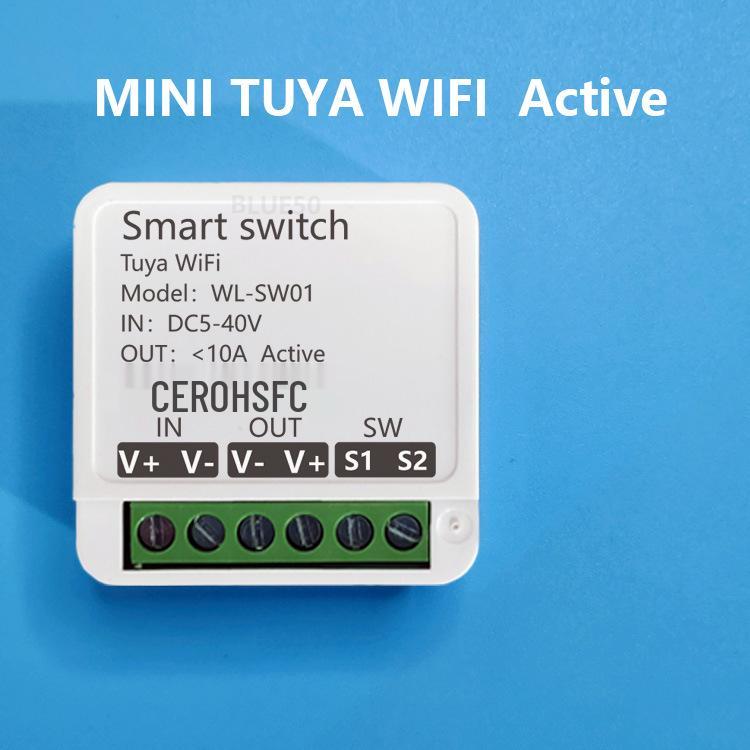 Tuya WiFi Smart Switch: 12V/24V Constant Voltage with WiFi and 433 Remote Control for Door Lock or Light Modification