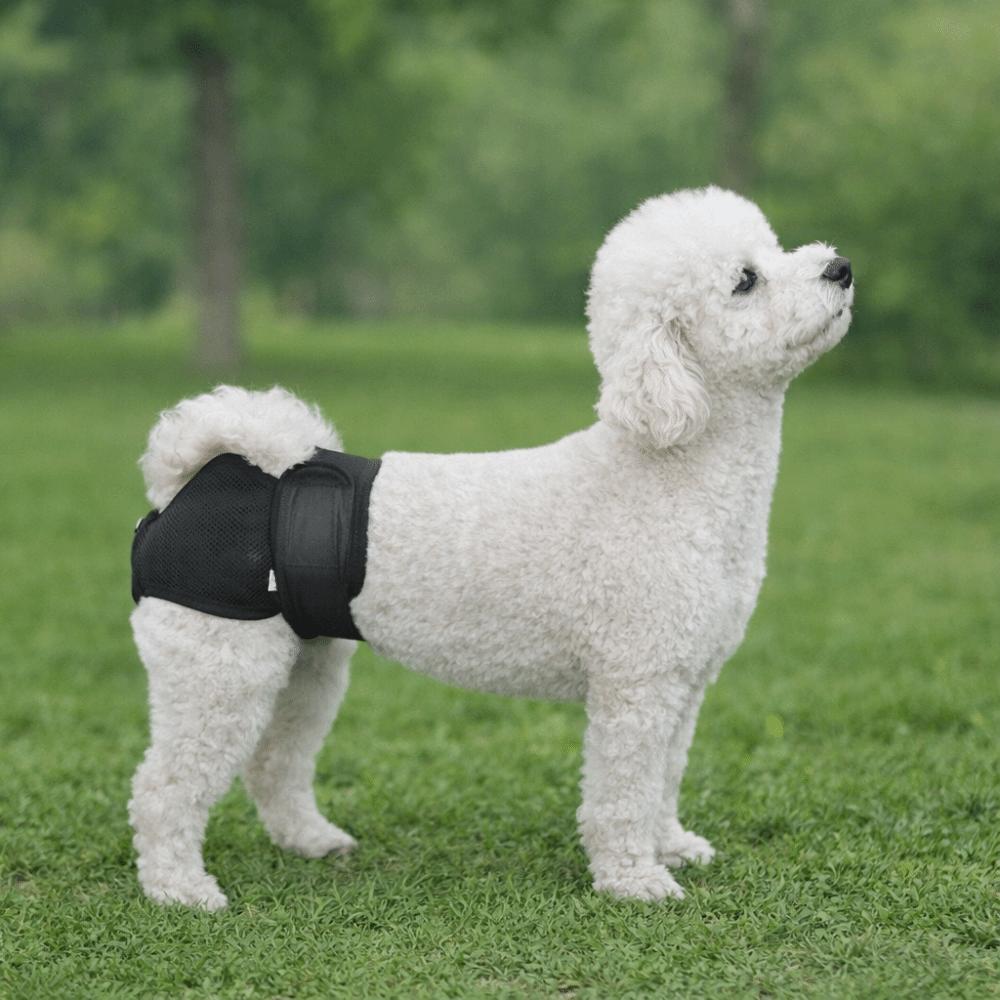 Breathable Mesh Dogs Diaper High-Absorbency Anti-Leak Pet Physiological Pants Adjustable Comfort Fit Pet Menstrual Panties