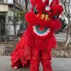 Southern Lion Dance Costume Set - Adult