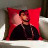 AAnuel AA SINGER Pillow Case Linen Pillow Covers Cover For Couch Living Room Bench Patio Floor Linen Home Decor