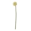 Allium Stem Artificial Plant