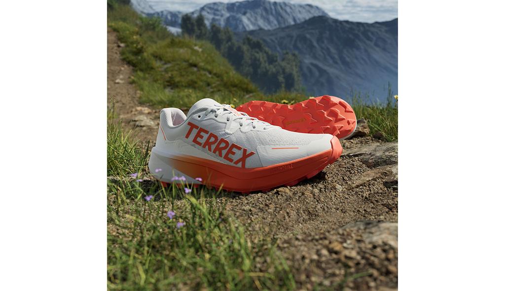 Adidas terrex agravic 3 trail running shoes 8 mm drop White