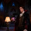 Crow Light Gothic Violet Led Fantasy Household Decoration Glowing Orb Raven Lamp For Living Room Household Dorm Apartment Nightstand