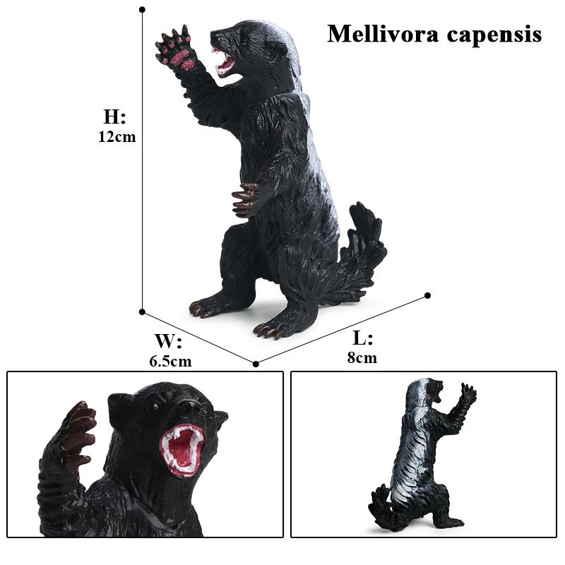 Oenux Symulacja Nowe Figurki Dzikich Zwierząt Borsuk Miodojad Mellivora Capensis Model Figurki Akcji Edukacyjny Prezent Zabawka dla Dzieci