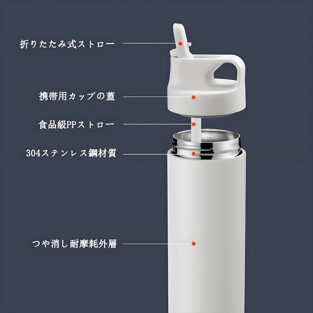 IOLOYU 500ml Stainless Steel Water Bottle, Heat-Resistant, Stylish Thermos, Insulated, Easy-to-Wash, with Handle, Stylish, Lightweight,