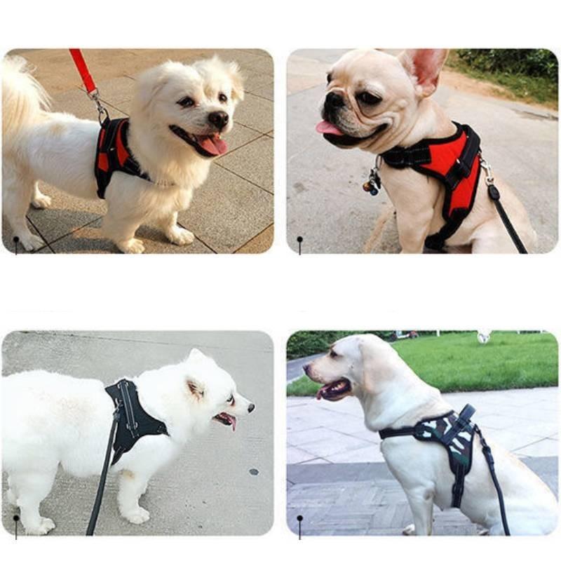 Premium 600d Oxford Fabric Dog Chest Harness With Comfortable Sponge Padding