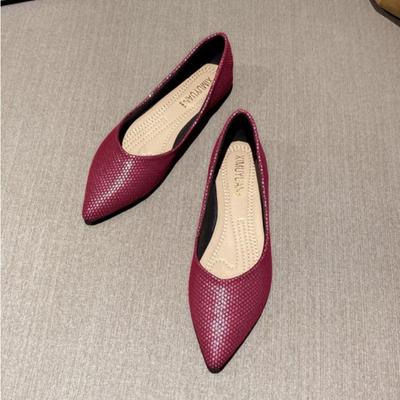 Chaussures Simples à Décolleté Bas pour Femmes Printemps et Automne Chaussures Plates Simples Chaussures Décontractées à Bout Pointu pour Femmes Ballerines pour Dames