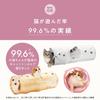 Nekoichi Cat Tunnel Blue Cat Toy