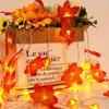 1.5M 3M 6M LED Pumpkin Maple Leaves Light String - USB/Battery Powered Fairy Lights, Solve Power Limitation, Bright & Durable