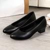 Grove Hak, Puntige Neus, Lage Neus Enkele Schoenen - Elegante Damesschoenen, Nieuwe Stijl, Zachte Zool Schoenen