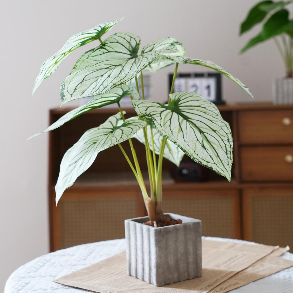 Artificial Turtle Back & Caladium Leaf Plants - Small Potted Decorations for Office, Living Room, or Coffee Table