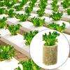 10-200 sztuk Hydroponiczne Podłoże Do Uprawy Sadzonki Wtyczki Do Uprawy Kostki Kostki Do Roślin Podłoże Bezglebowe Zasiane Wtyczki Do Włókien Skalnych Blok Do Uprawy Sadzonki
